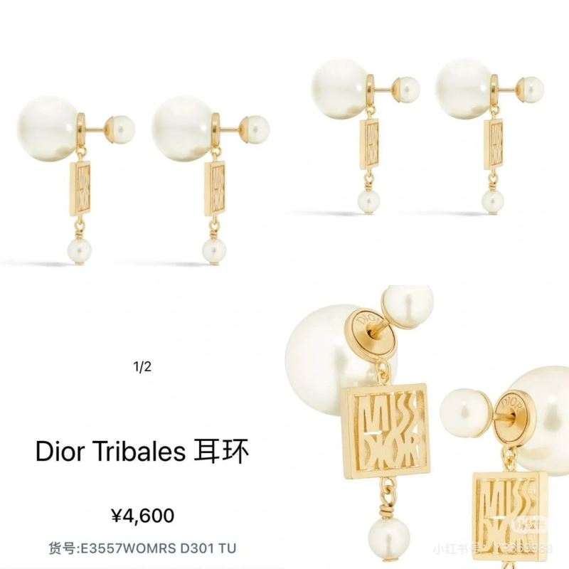 Christian Dior Earrings